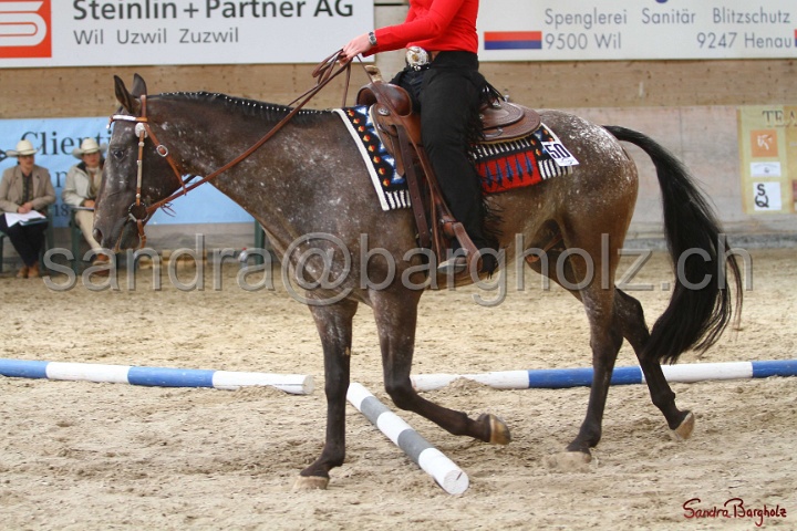 26-ApHC GT_158.jpg